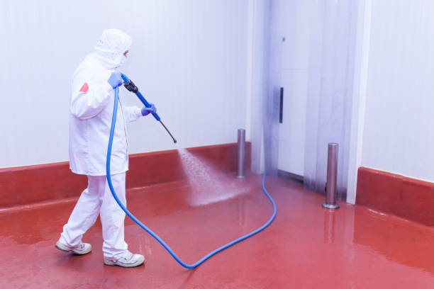 Best Warehouse Cleaning  in Elleale, ND